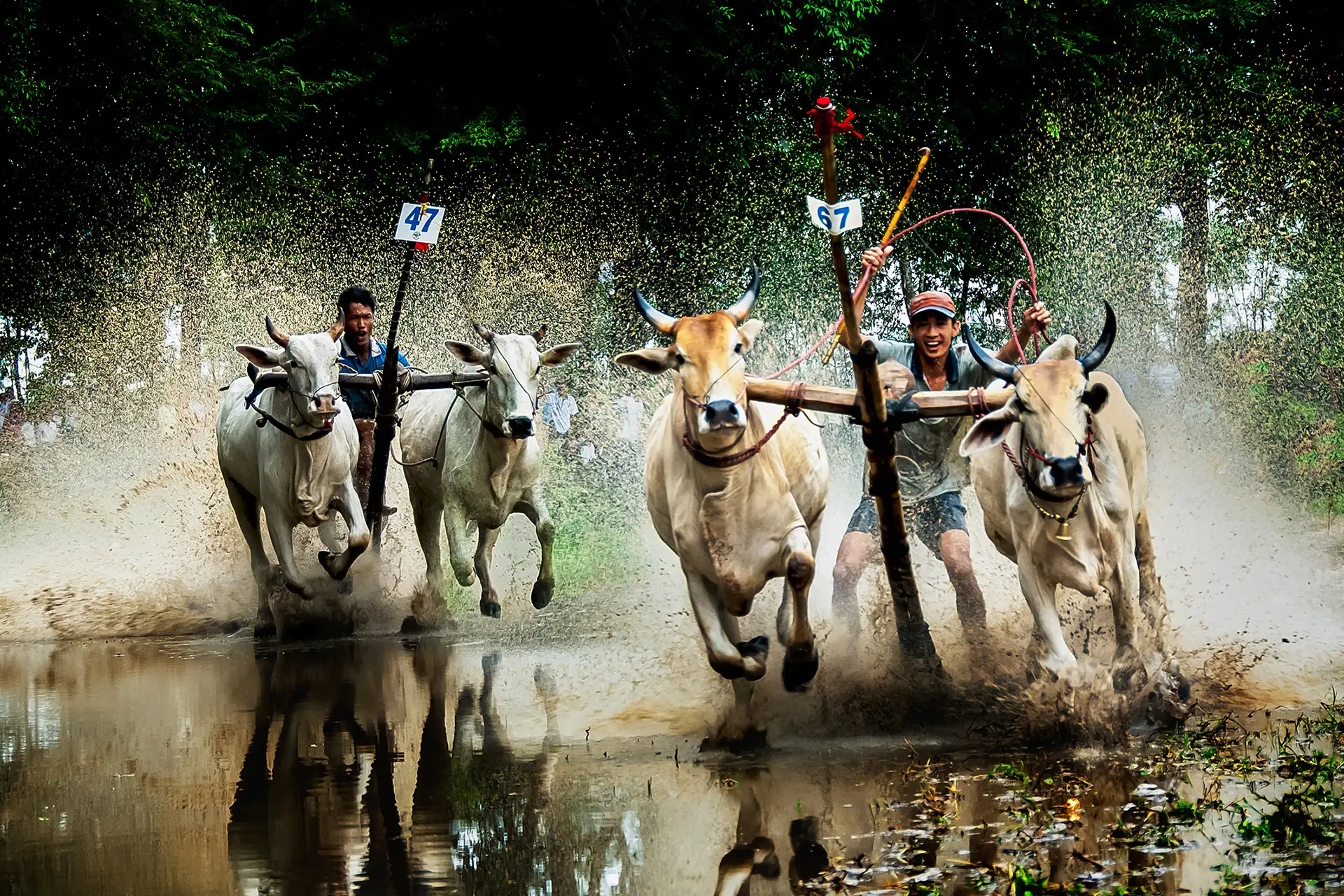 Cẩm nang du lịch An Giang: Linh thiêng một vùng non nước - Ảnh 7.